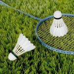 Image de Badminton / Aubigny Badminton Club